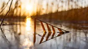 Zachód słońca w zatoce Skonał, nad jeziorem Tałty, marzec 2024 r. - zdjęcie 15