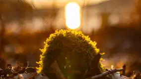 Zachód słońca w zatoce Skonał, nad jeziorem Tałty, marzec 2024 r. - zdjęcie 23