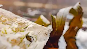 Mazurska przyroda w połowie marca 2024 r. - zdjęcie 23