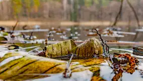 Mazurska przyroda w połowie marca 2024 r. - zdjęcie 16