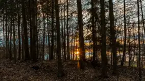 Zachód słońca nad jeziorem Głęboka Kuta, marzec 2024 r. - zdjęcie 15