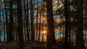 Zachód słońca nad jeziorem Głęboka Kuta, marzec 2024 r. - zdjęcie 5