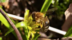 Mamy dowody na rozkwit wiosny na Mazurach, końcówka marca 2024 r. - zdjęcie 21