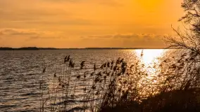 Jezioro Dargin przed zachodem słońca, marzec 2024 r. - zdjęcie 57