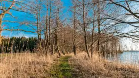 Jezioro Dargin przed zachodem słońca, marzec 2024 r. - zdjęcie 12