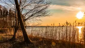 Jezioro Dargin przed zachodem słońca, marzec 2024 r. - zdjęcie 8