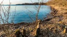 Jezioro Dargin przed zachodem słońca, marzec 2024 r. - zdjęcie 39