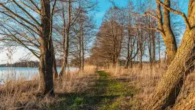 Jezioro Dargin przed zachodem słońca, marzec 2024 r. - zdjęcie 47