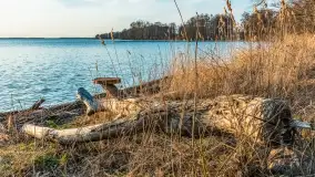 Jezioro Dargin przed zachodem słońca, marzec 2024 r. - zdjęcie 34