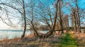 Jezioro Dargin przed zachodem słońca, marzec 2024 r. - zdjęcie 52