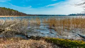 Bełdany Tarpan II, marzec 2024 r. - zdjęcie 25