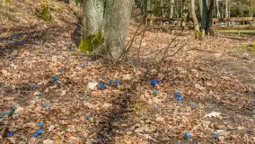 Bełdany Tarpan II, marzec 2024 r. - zdjęcie 33