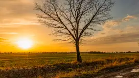 Wiosenne kadry o zachodzie słońca, koniec marca 2024 r. - zdjęcie 27