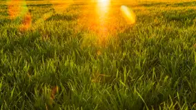 Wiosenne kadry o zachodzie słońca, koniec marca 2024 r. - zdjęcie 13