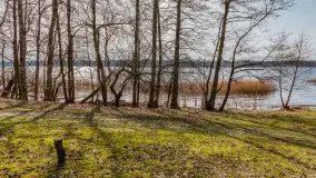 Wiosna nad jeziorem Bełdany, Binduga Tarpan I - zdjęcie 8