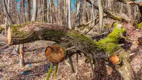 Wiosna nad jeziorem Bełdany, Binduga Tarpan I - zdjęcie 30