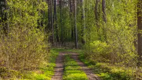 Wiosna i zachód słońca na półwyspie Kula, kwiecień 2024 r. - zdjęcie 24