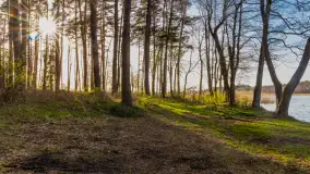 Wiosna i zachód słońca na półwyspie Kula, kwiecień 2024 r. - zdjęcie 14