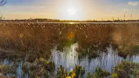 Wiosna i zachód słońca na półwyspie Kula, kwiecień 2024 r. - zdjęcie 26