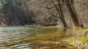 Wiosna i polana Wydra przy jeziorze Tyrkło, marzec 2024 r. - zdjęcie 12