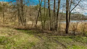 Wiosna i polana Wydra przy jeziorze Tyrkło, marzec 2024 r. - zdjęcie 10