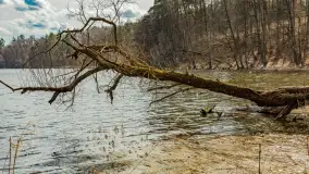 Wiosna i polana Wydra przy jeziorze Tyrkło, marzec 2024 r. - zdjęcie 14