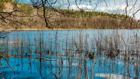 Wiosna i polana Wydra przy jeziorze Tyrkło, marzec 2024 r. - zdjęcie 30