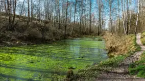 Śluza Leśniewo Górne na wiosennych ujęciach, marzec 2024 r. - zdjęcie 15