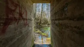 Śluza Leśniewo Górne na wiosennych ujęciach, marzec 2024 r. - zdjęcie 37