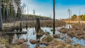 Wiosna nad niewielkim, mazurskim jeziorkiem, marzec 2024 r. - zdjęcie 26