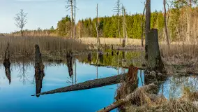 Wiosna nad niewielkim, mazurskim jeziorkiem, marzec 2024 r. - zdjęcie 7