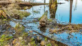 Wiosna nad niewielkim, mazurskim jeziorkiem, marzec 2024 r. - zdjęcie 24