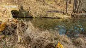 Jezioro Ublik Wielki i połączenie z Ublikiem Małym, marzec 2024 r. - zdjęcie 14