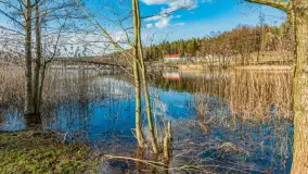 Wiosenny spacer nad jeziorem Wydmińskim, marzec 2024 r. - zdjęcie 41