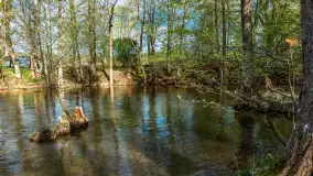 Zabytkowy młyn wodny przy Krutyni, kwiecień 2024 r. - zdjęcie 30