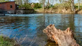 Zabytkowy młyn wodny przy Krutyni, kwiecień 2024 r. - zdjęcie 11