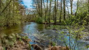 Zabytkowy młyn wodny przy Krutyni, kwiecień 2024 r. - zdjęcie 4