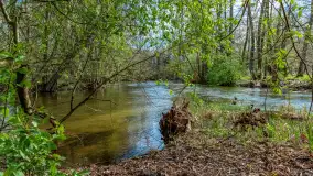 Zabytkowy młyn wodny przy Krutyni, kwiecień 2024 r. - zdjęcie 45