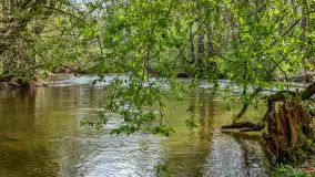 Zabytkowy młyn wodny przy Krutyni, kwiecień 2024 r. - zdjęcie 39