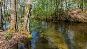 Zabytkowy młyn wodny przy Krutyni, kwiecień 2024 r. - zdjęcie 52