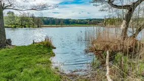 Zabytkowy młyn wodny przy Krutyni, kwiecień 2024 r. - zdjęcie 46