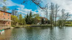 Zabytkowy młyn wodny przy Krutyni, kwiecień 2024 r. - zdjęcie 34