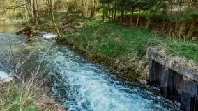 Zabytkowy młyn wodny przy Krutyni, kwiecień 2024 r. - zdjęcie 47