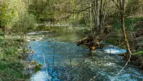 Zabytkowy młyn wodny przy Krutyni, kwiecień 2024 r. - zdjęcie 53