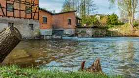 Zabytkowy młyn wodny przy Krutyni, kwiecień 2024 r. - zdjęcie 44