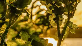 Zachód słońca nad jeziorem Salęt, kwiecień 2024 r. - zdjęcie 36