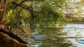 Zachód słońca nad jeziorem Salęt, kwiecień 2024 r. - zdjęcie 17