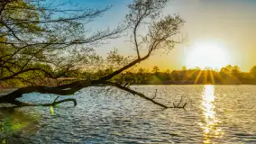 Zachód słońca nad jeziorem Salęt, kwiecień 2024 r. - zdjęcie 35