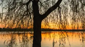 Zachód słońca nad jeziorem Ełckim w Ełku, maj 2024 r. - zdjęcie 15