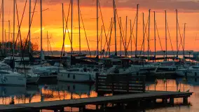 Wschód słońca w PTTK Wilkasy, jezioro Niegocin, maj 2024 r. - zdjęcie 17